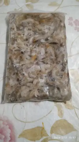 Udang beku api paka predator