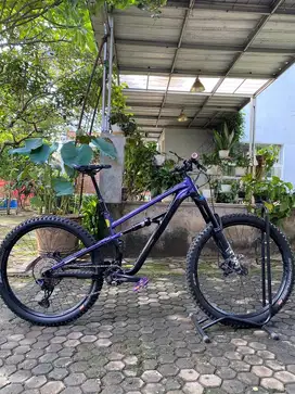Polygon Siskiu T8 2022