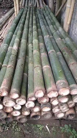 Jual bambu tiang cor