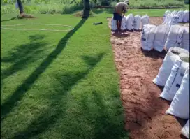Rumput golf super