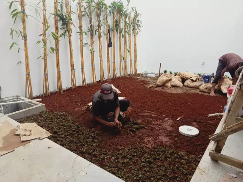 Tukang taman dan renopasi taman