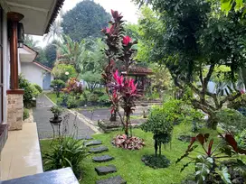 rumah asri tanpa polusi