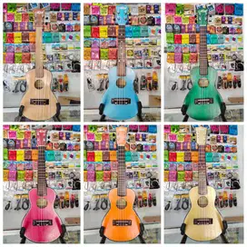 UKULELE AKUSTIK ORIGINAL BERBAGAI TIPE