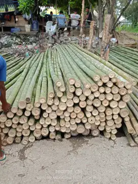 Jual bambu stger dan triplek