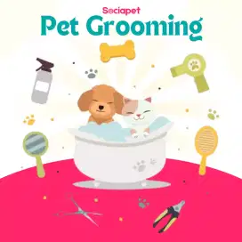 Jasa Pet Grooming & Pet Hotel