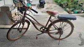 Dijual sepeda keranjang polygon 26.