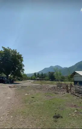 Beachfront Land For Sale 5,3 Hectares in Pantai Golomori  Labuan Bajo