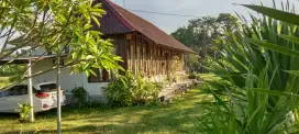 Dijual Bungalow Luas 15 Are View Gunung Jl Raya Perasi Karangasem Bali