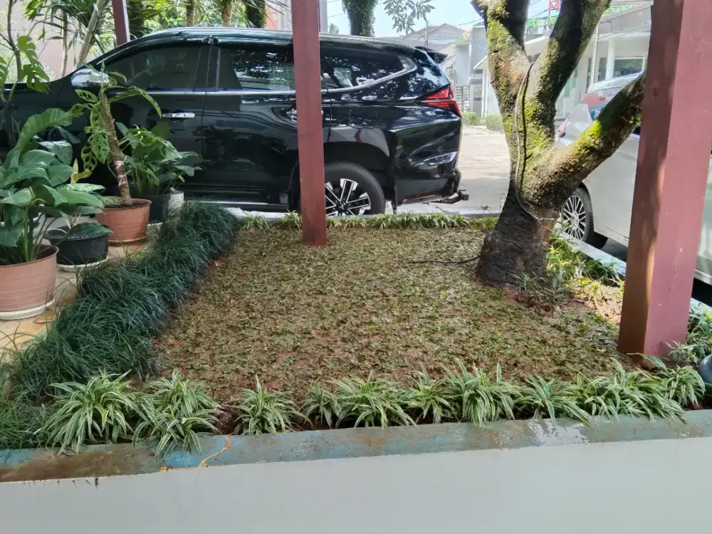 Pembuatan taman minimalis