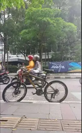 Sepeda Pacific Invert LX
