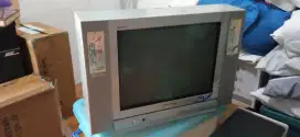 tv 21 inci tabung