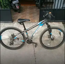 MTB Polygon Thunder Jr