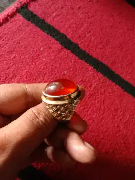 Permata cincin moncong loe.