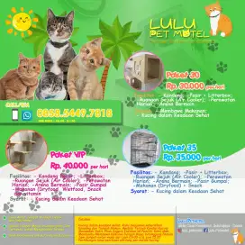 Penitipan Kucing - Hotel Kucing Termurah Depok