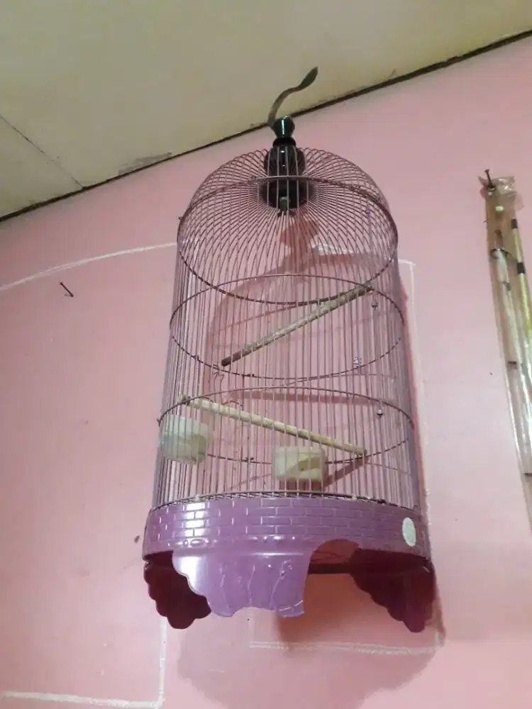 Sangkar Kawat Bulat Labet Murah..