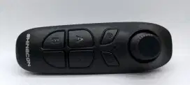 Remote Virtual Reality