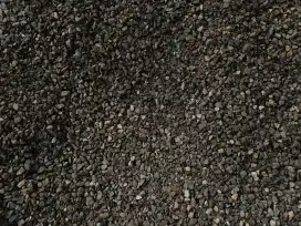 Coral split cold