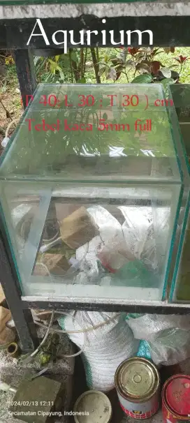 Aquarium ikan air tawar