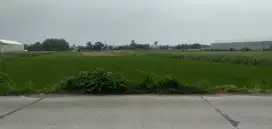 Tanah Sawah Deket Bandara Adi Soemarmo, Surakarta