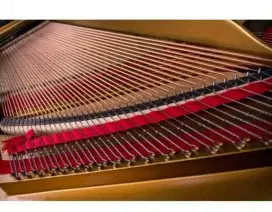 SENAR PIANO segala merek piano Akustik