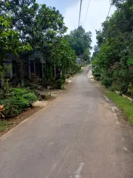 Tanah di kalisegoro