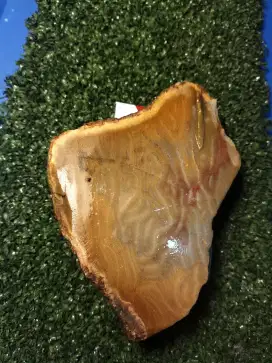 Yg minat batu serat lipan