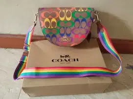 Rainbow Coach Bag