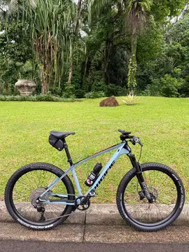 Mtb Carbon Pacific Armour