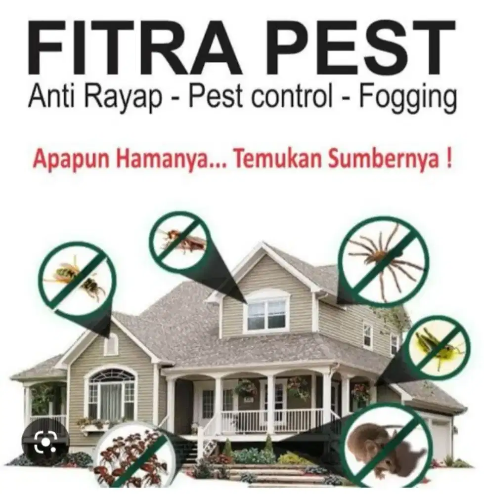 Jasa pest control