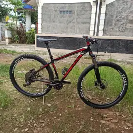 Sepeda Gunung MTB XC Specialized Hardrock 29