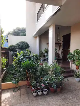 Rumah jalan jeruk lamper peterongan tengah kota semarang
