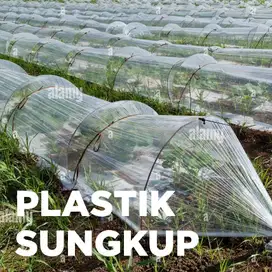 Plastik Sungkup untuk Pelindung Tanaman/Bibit di Kebun