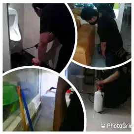Jasa Anti Rayap Bergaransi