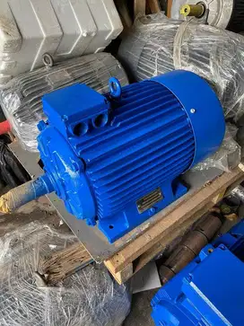 ELEKTRIM 30hp 22kw 4pole dinamo elektro motor ORI ELEKTRIM POLANDIA