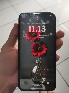 Iphone 12 pro max 256gb ex inter