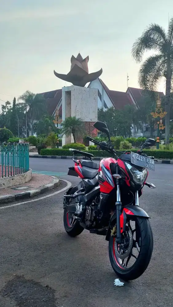 Kawasaki Pulsar 200ns BR200