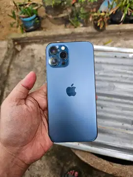 Iphone 12 pro max 256 resmi ibox (pacific blue)