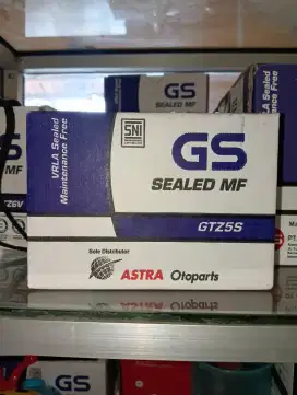 AKI MOTOR GS GTZ5S