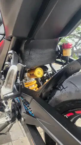 NINJA 250 MDP ABS 2018 HEDON MURMER