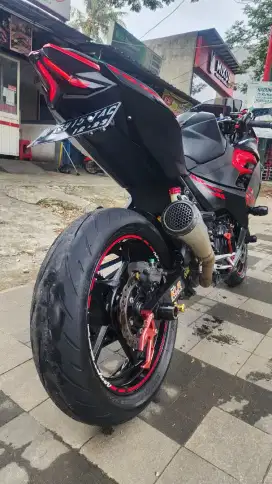 NINJA 250 MDP ABS 2018 HEDON MURMER