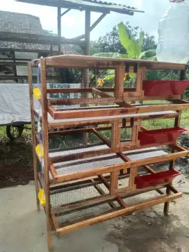 Kandang puyuh petelur (KPT)+pembesaran