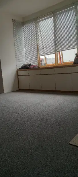 sedia karpet lantai kantor