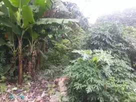 Tanah kavling di jln.sirojul munir jatisari jatiasih bekasi