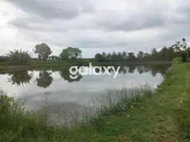 JUAL TANAH TAMBAK 4,5 HA TANAH MERAH SUMENEP MADURA