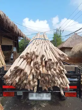 Kayu Galam  kalimantan