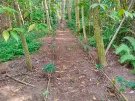 Dijual Tanah Pekarangan Di Daerah Jetis - Sumber Agung - Bantul..DIY