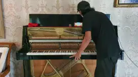 stem piano & service piano