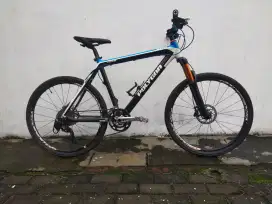 Sepeda polygon RX3 carbon