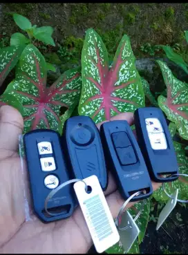 Ahli Kunci, Duplikat Kunci, Tukang Kunci Panggilan di Tangerang