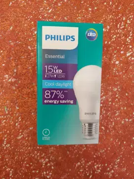 Philips led 15 watt